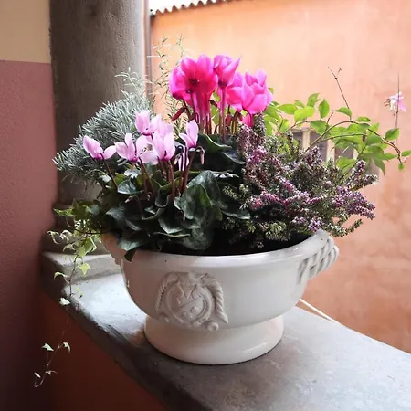 Apartment Papavero 69 Bergamo